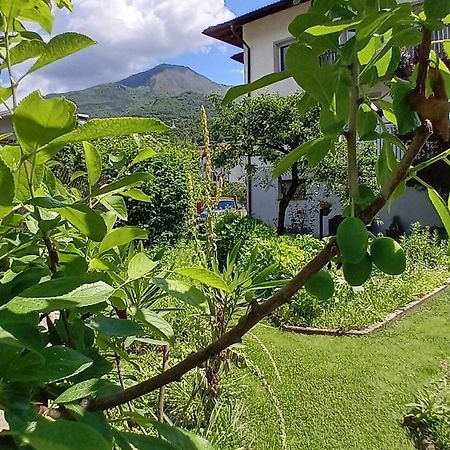 Appartment Lodged Mamma Maria Mattarello Exteriér fotografie