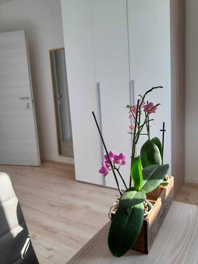 Appartment Lodged Mamma Maria Mattarello Exteriér fotografie