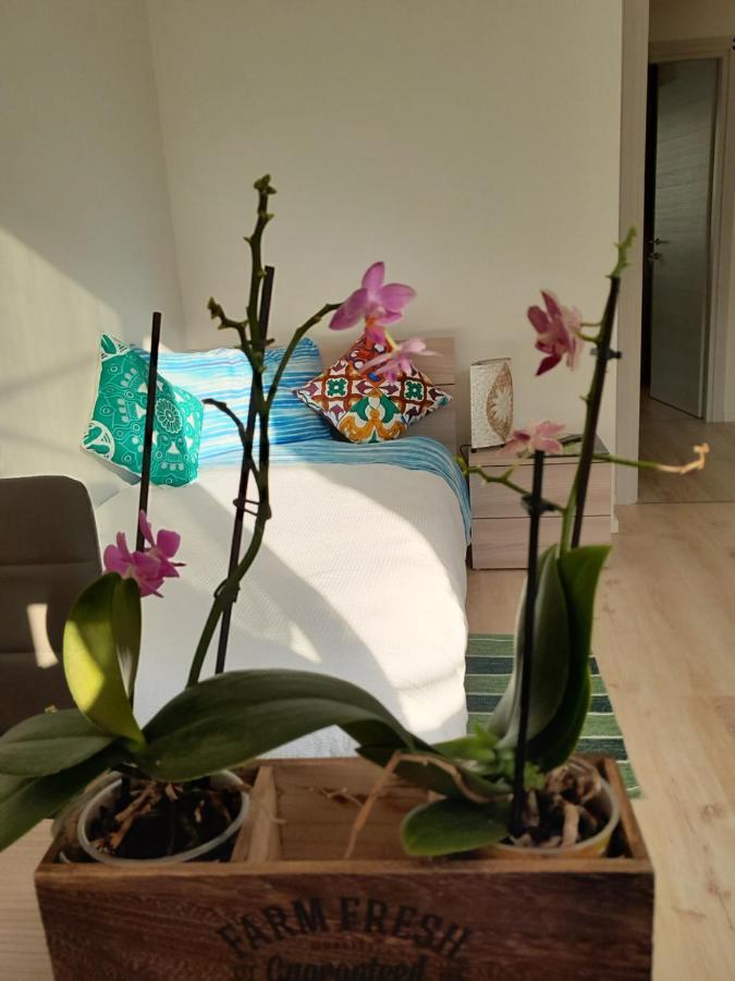Appartment Lodged Mamma Maria Mattarello Exteriér fotografie