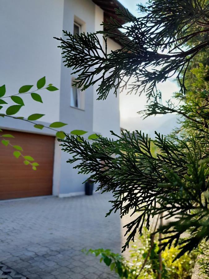 Appartment Lodged Mamma Maria Mattarello Exteriér fotografie