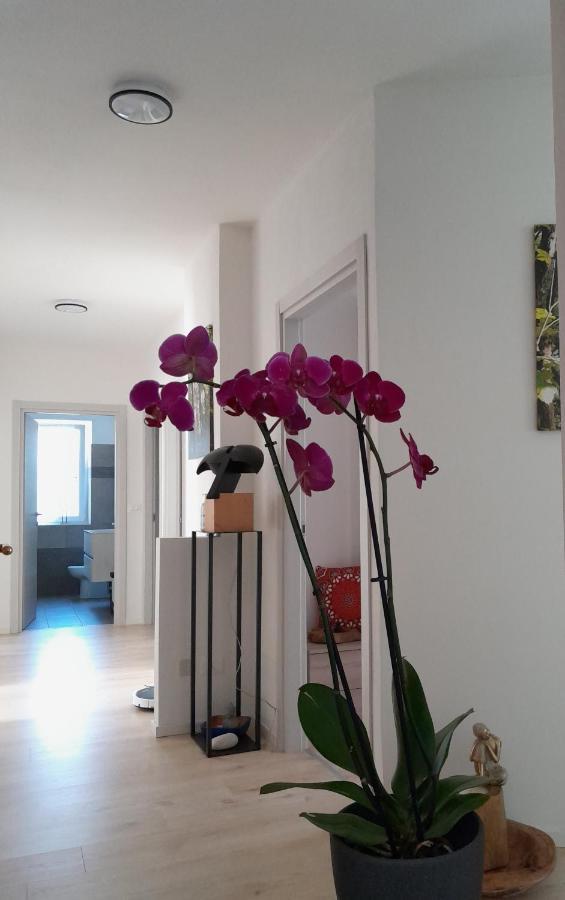 Appartment Lodged Mamma Maria Mattarello Exteriér fotografie
