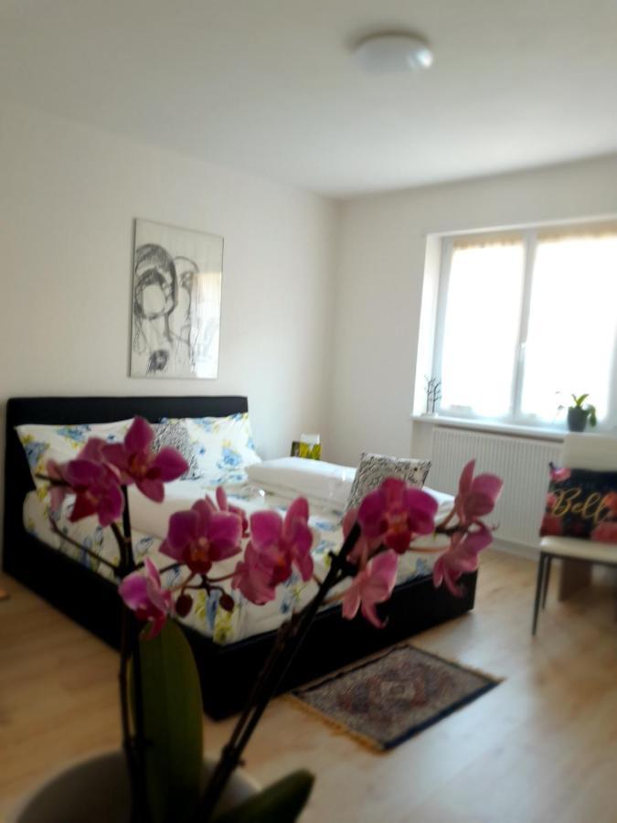 Appartment Lodged Mamma Maria Mattarello Exteriér fotografie