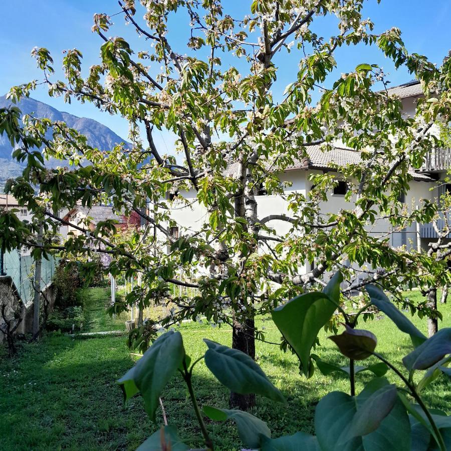 Appartment Lodged Mamma Maria Mattarello Exteriér fotografie