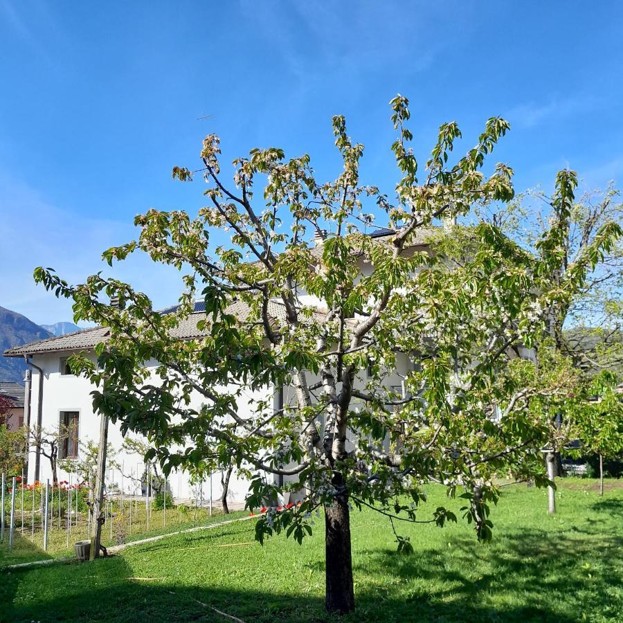 Appartment Lodged Mamma Maria Mattarello Exteriér fotografie