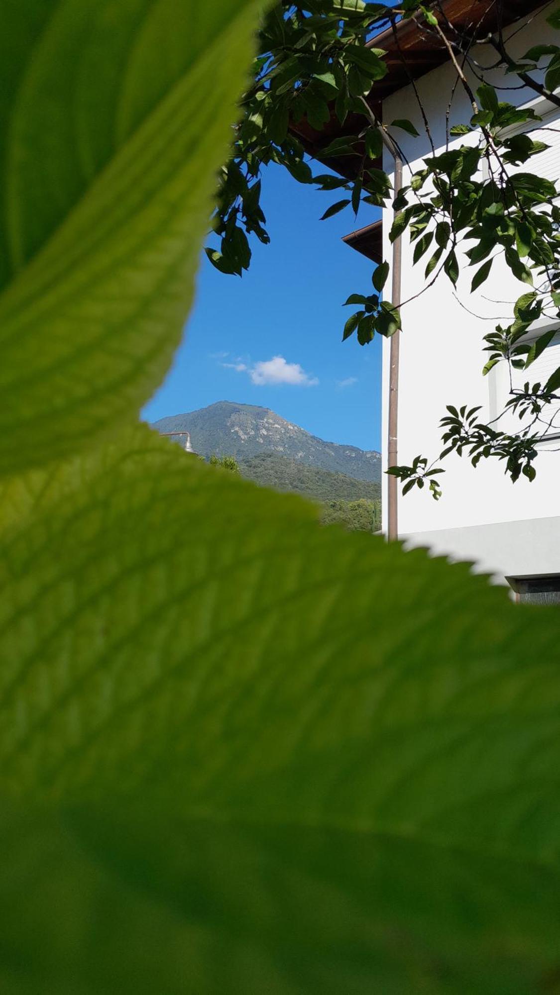 Appartment Lodged Mamma Maria Mattarello Exteriér fotografie
