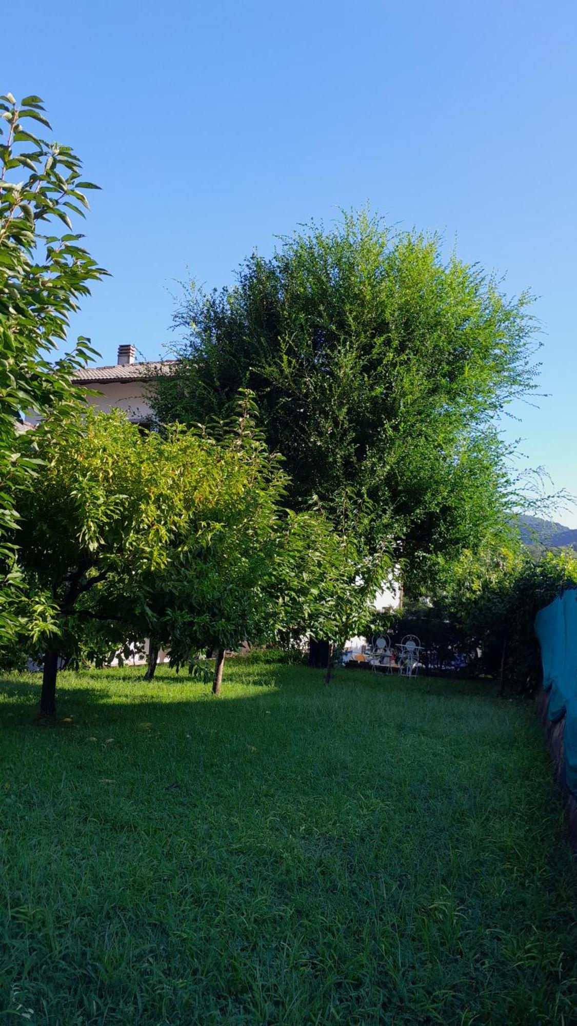 Appartment Lodged Mamma Maria Mattarello Exteriér fotografie