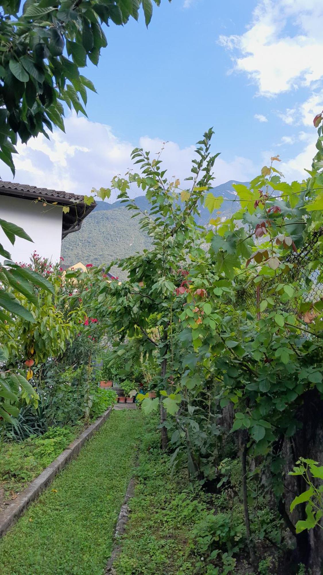 Appartment Lodged Mamma Maria Mattarello Exteriér fotografie