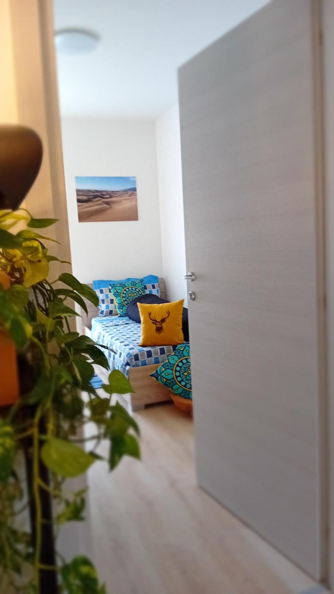 Appartment Lodged Mamma Maria Mattarello Exteriér fotografie