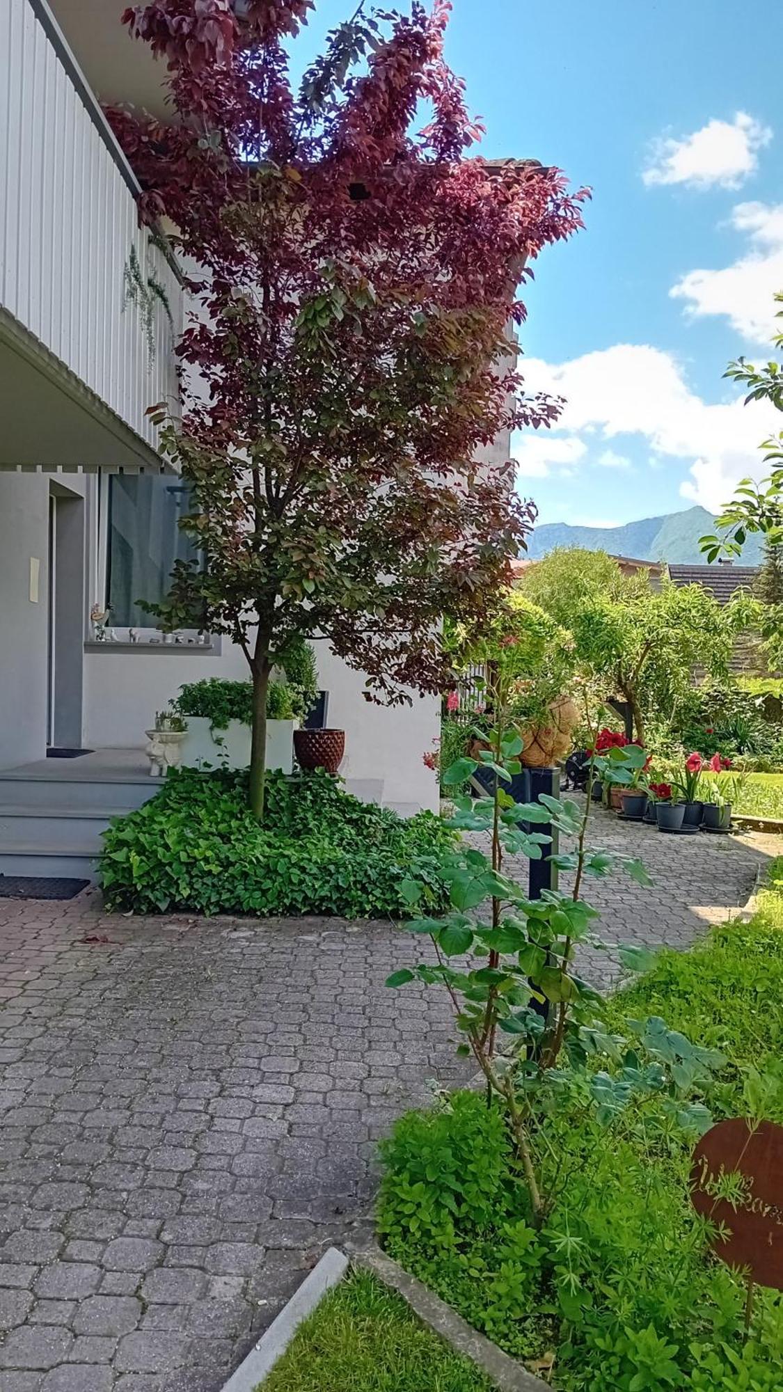 Appartment Lodged Mamma Maria Mattarello Exteriér fotografie